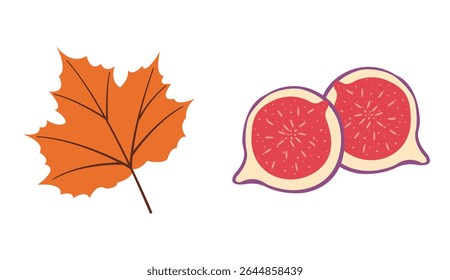 Autumn collection of flat vector elements: sliced fig, orange leaf. Hand drawn set for banners, cards, social media