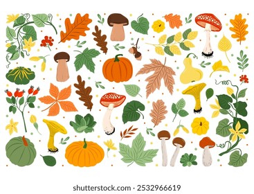 Autumn collection - flower, berry, mushroom, briar, leaves, acorn, pumpkin, rowanberry, Yellow, Green, White, Brown. Perfect for seasonal greetings and Thanksgiving Day