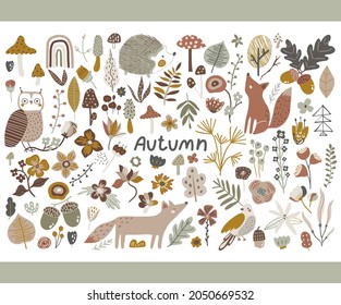 Autumn collection with fox, owl, forest elements. mushroom, leaves. Floral fall vector clipart. 