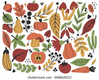 Autumn collection: fruits, leaves, flowers, vegetables. Fall hand drawn flat set in green, red, yellow, orange colors. Vector illustration