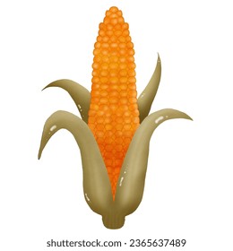 Autumn collection. Golden yellow corn , Various autumn elements. Vector illustration drawing.