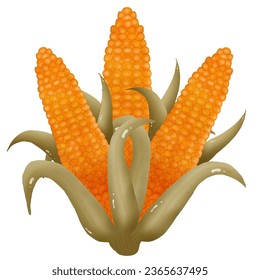 Autumn collection. Golden yellow corn, Various autumn elements. Vector illustration drawing.