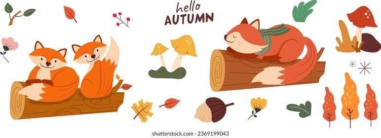 Autumn collection illustration. Banner, vector, fox, mushroom, leaves, nut and flower