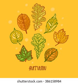 Autumn. Collection of leaves. Set.