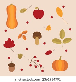 Autumn collection of nature elements