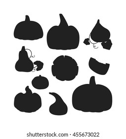 Autumn collection of pumpkin set elements design with different pumpkins oriental bittersweet vector illustration