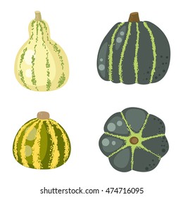 Autumn collection of pumpkin set elements design with different pumpkins oriental bittersweet vector illustration