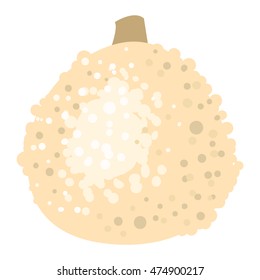 Autumn collection of pumpkin set elements design with different pumpkins oriental bittersweet vector illustration
