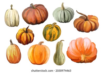 Herbstsammlung von Kürbissen einzeln auf weißem Hintergrund. Vektorgrafik