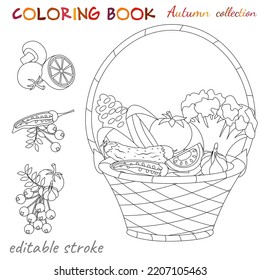 Autumn collection. Tomato, cucumber, cabbage, garlic are in the basket. Autumn still life. Relaxation coloring template. Editable vector illustration.