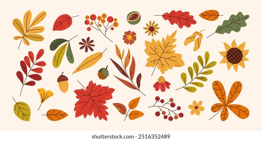 Autumn collection various leaves and flowers in flat vector style. Leaf of maple, oak, chestnut, rowan. Design elements for card, poster, pattern, banner or background.