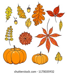 Autumn collection vector illustration. Hand drawn set. Hand drawn.
