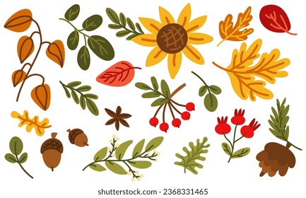 Recopilación de otoño de ilustraciones vectoriales dibujadas a mano. Un conjunto de cliparts con atributos acogedores de la temporada de otoño Accesorios de otoño, hojas secas, cosecha, plantas forestales Elementos decorativos de diseño