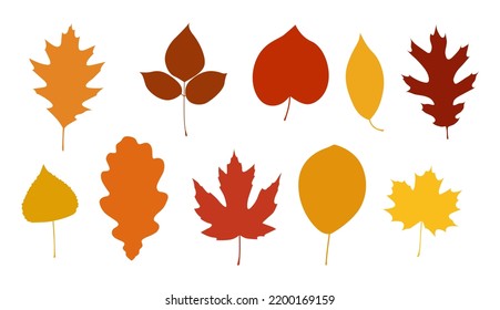 Autumn collection. Vector set with leaves in red, orange, yellow colors. Hand drawn illustrations. Isolated objects on white background.