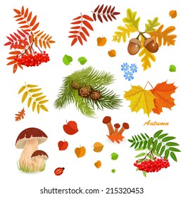 Autumn collection for your design