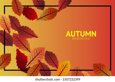 Autumn color background set vector texture. Gradient illustration collection can used for leaves, flyers, leaf, banners or posters