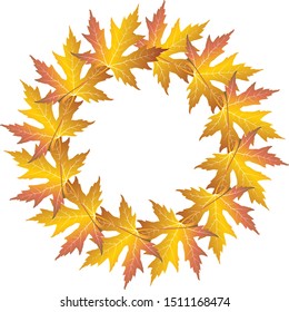 Autumn color circle leaf frame