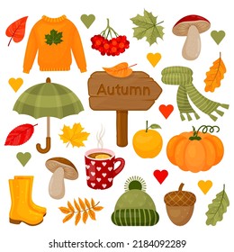 Autumn color collection. Clipart set with autumn leaves, pumpkin, acorn, sweater, hat, scarf, cup of hot tea, mushrooms and other symbols of fall. Isolated objects. Vector illustration. Cartoon style.