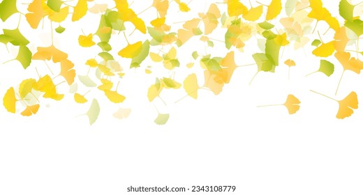 Autumn Color Ginkgo Leaves Background