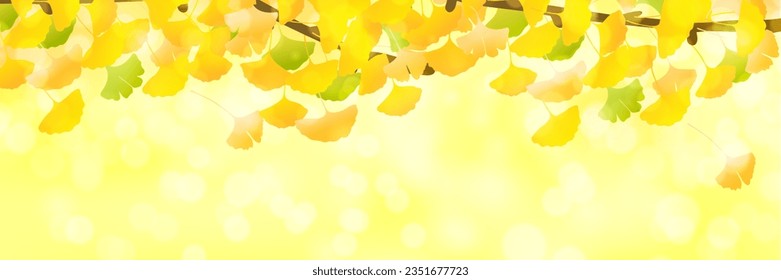 Autumn Color Ginkgo Leaves Background