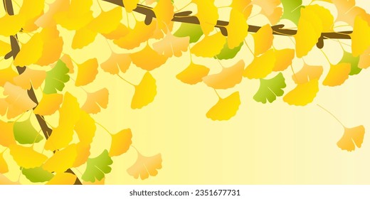 Autumn Color Ginkgo Leaves Background