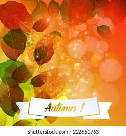 Autumn color leaf illustration decoration background vector