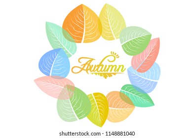 autumn color leaf vector illustration background
