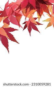 Autumn Color Maple Leaves Background