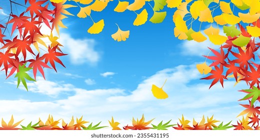 Autumn Color Maple Tree Ginkgo Background