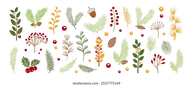 Herbstfärbung Feder, Blatt, Zweignadel. Weihnachtskiefer, Tannenbaum, Holly Beere, Fichte, Mistel, immergrüne Zeder, Winterzweig handgezeichnet, einzeln auf weißem Hintergrund. Xmas Vektorgrafik