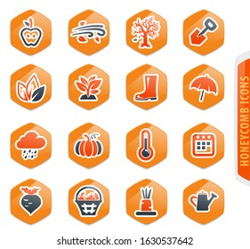 Autumn color vector icons for user interface design