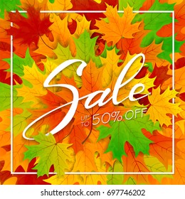 Autumn colored background. Maple leaves and lettering sale, illustration.