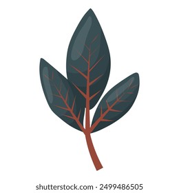 autumn colored bright leaf highlighted on a white background. vector illustration