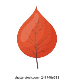 autumn colored bright leaf highlighted on a white background. vector illustration