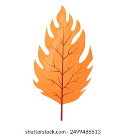 autumn colored bright leaf highlighted on a white background. vector illustration