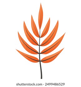 herbstfarbenes helles Blatt, hervorgehoben auf weißem Hintergrund. Vektorgrafik
