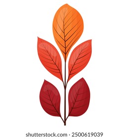 autumn colored bright leaf highlighted on a white background.