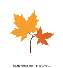 Autumn, colored maple leaf branch.  Autumn, colored maple illustration. Orange, blue, yellow colors.