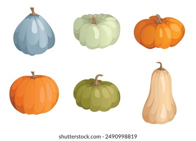 Autumn colored pumpkins set. Postcard or banner. Cartoon pumpkins, halloween squash, fall harvest gourds. Autumn thanksgiving and halloween pumpkins collection. Vector illustration.