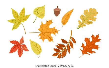Herbstfarbenes Set mit Blättern im handgezeichneten flachen Stil. Einfache botanische Aufkleber. Vektorgrafik Clipart von Doodle Zeichnungen auf weißem Hintergrund