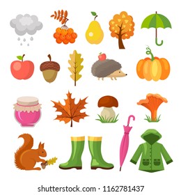 Autumn colored symbols. Vector icon set of autumn. Plant and mushroom, squirrel and hedgehog illustration