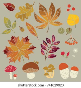 Autumn colorful background handmade pattern stylized leaves, fruits, berries and mushrooms