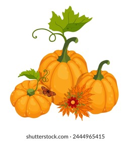Autumn colorful composition with ripe pumpkins and autumn leaves, flowers, butterflies.Vector graphics.