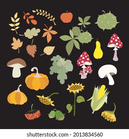 Autumn colorful doodle set. Sketch of leaves, pumpkin, apple, pear, mushrooms, nuts, sunflowers on black