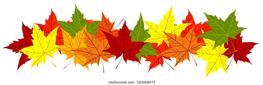 Autumn colorful fallen leaves. Decorative border ornament of bright green yellow orange red dry brown acer leaf. Vector illustration. Fall season. Design element for presentation. Flyer. Poster. Card.