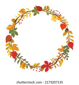 Autumn colorful leaf wreath with dry autumn leaves, acorns, and berries. Thanksgiving day, harvest festival poster design template. Vector illustration. Isolated on white background.