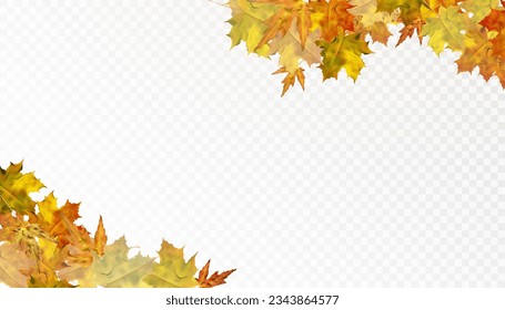 Autumn colorful leafy ornament with yellow-orange maple leaves on a transparent background. Vector