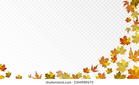 Autumn colorful leafy ornament with yellow-orange maple leaves on a transparent background. Vector