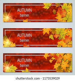 Autumn colorful leaves horizontal banners vector collection