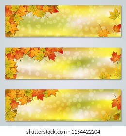 Autumn colorful leaves horizontal vector banners collection